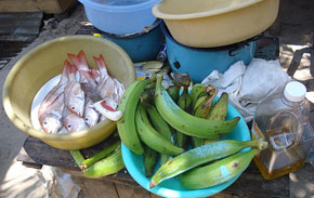 Foto: flickr/cc by Renata Avila Fisch, Bananen