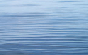 Wasser