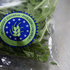 Logo der EU